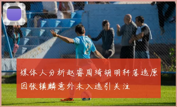 媒体人分析赵睿周琦胡明轩落选原因张镇麟意外未入选引关注