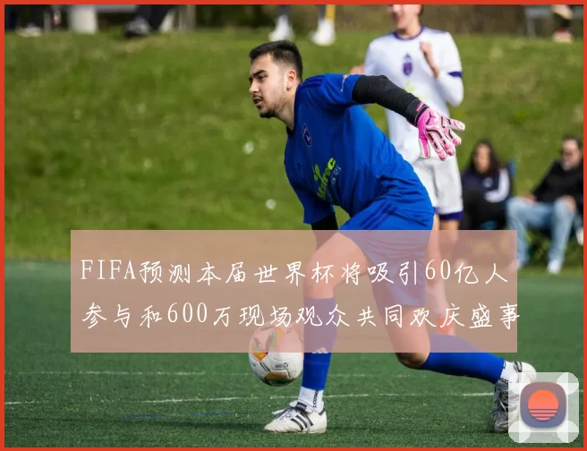 FIFA预测本届世界杯将吸引60亿人参与和600万现场观众共同欢庆盛事
