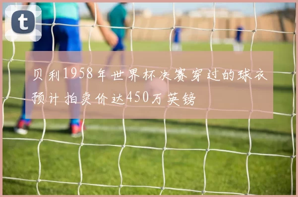 贝利1958年世界杯决赛穿过的球衣预计拍卖价达450万英镑